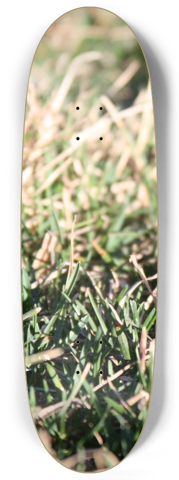 Grass Up Close Egg Shape