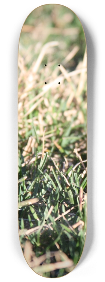Grass Up Close 8-1/4 Skateboard Deck