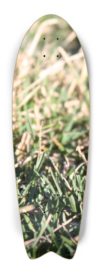 Grass Up Close