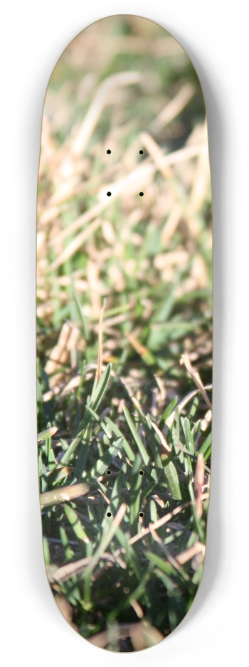 Grass Up Close
