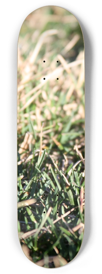 Grass Up Close