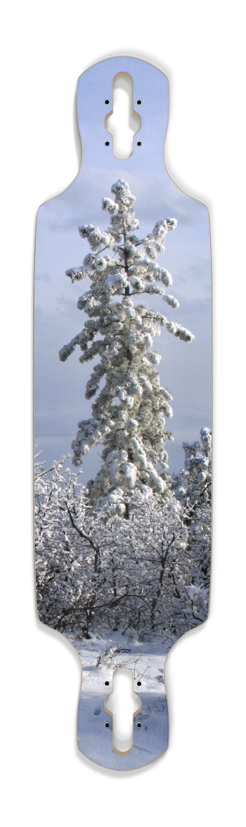 Snowy Tree