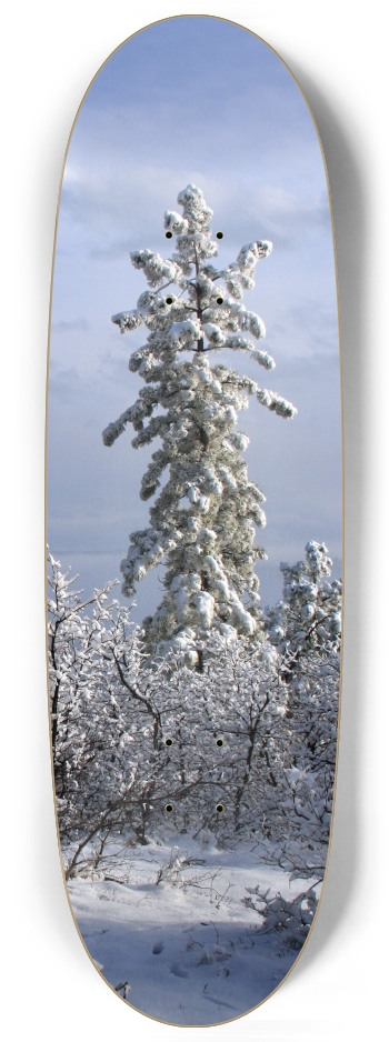 Snowy Tree Egg Shape