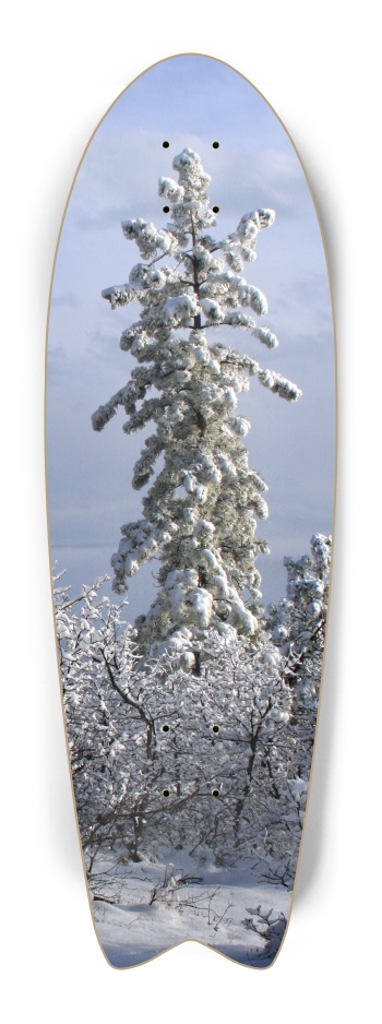 Snowy Tree