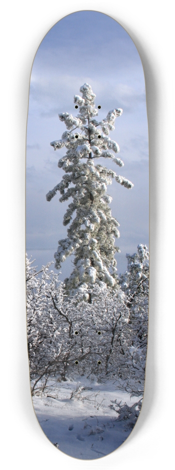 Snowy Tree