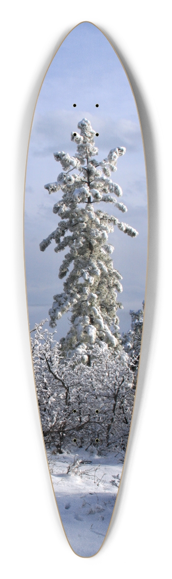 Snowy Tree