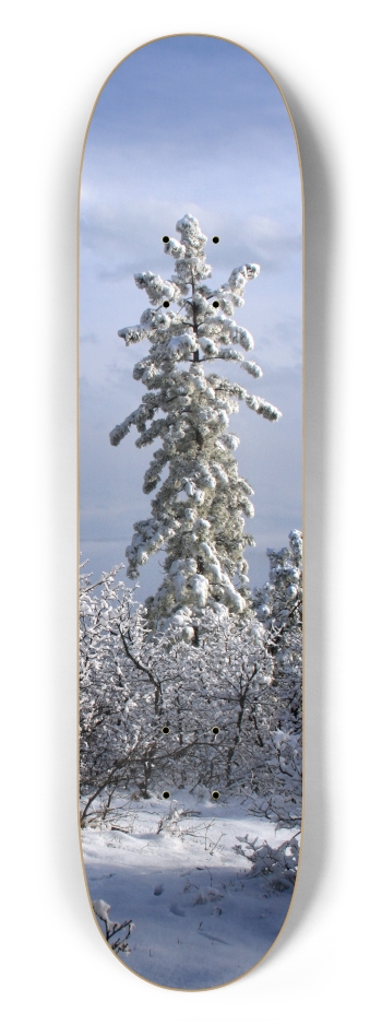 Snowy Tree