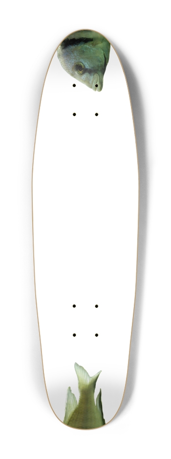 Fish - Nose/Tail (transparent)