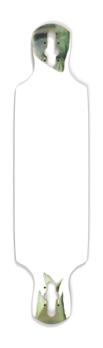Fish - Nose/Tail (transparent)