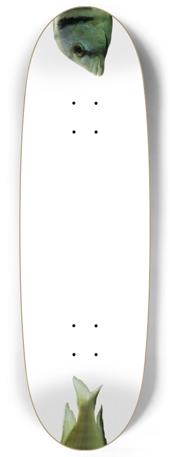 Fish - Nose/Tail (transparent) Egg Shape