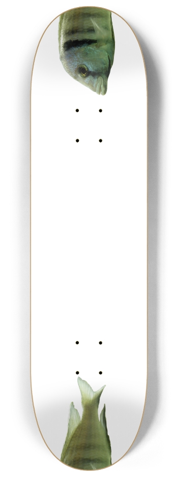 Fish - Nose/Tail (transparent) 8-1/4 Skateboard Deck