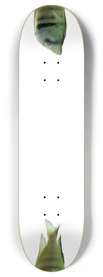 Fish - Nose/Tail (transparent) 8 Inch Skateboard Deck