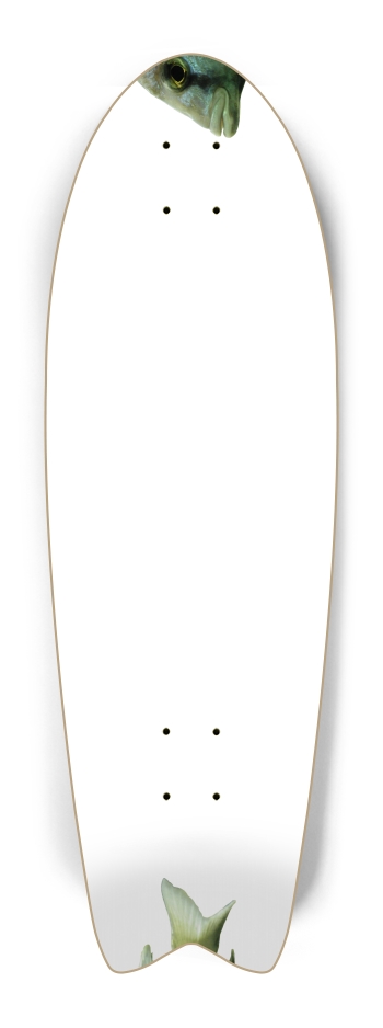 Fish - Nose/Tail (transparent)