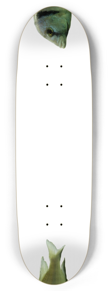 Fish - Nose/Tail (transparent)