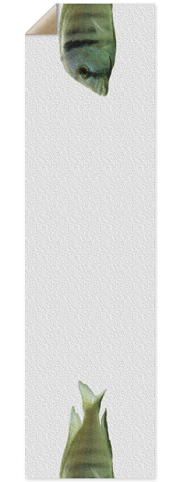 Fish - Nose/Tail (transparent) 9 x 33 Inch Griptape