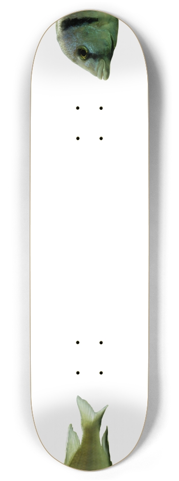 Fish - Nose/Tail (transparent)