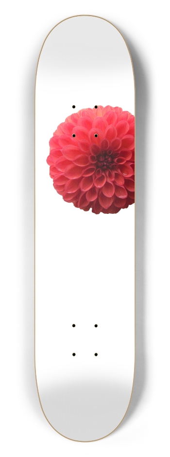 Pink Flower Offset (transparent)