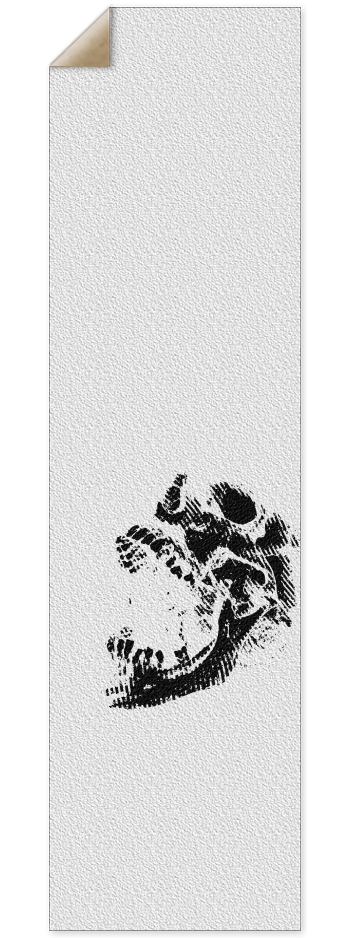 skull (transparent) 9 x 33 Inch Griptape