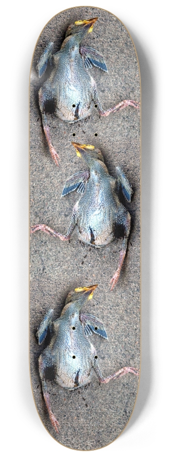 dead baby bird 8-1/4 Skateboard Deck