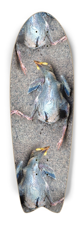 dead baby bird