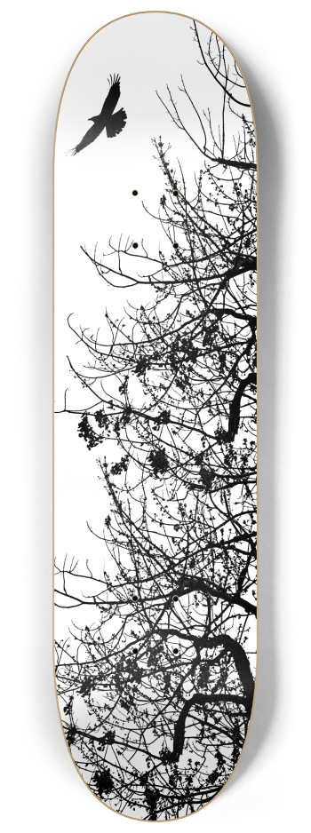 Tree 8-1/4 Skateboard Deck