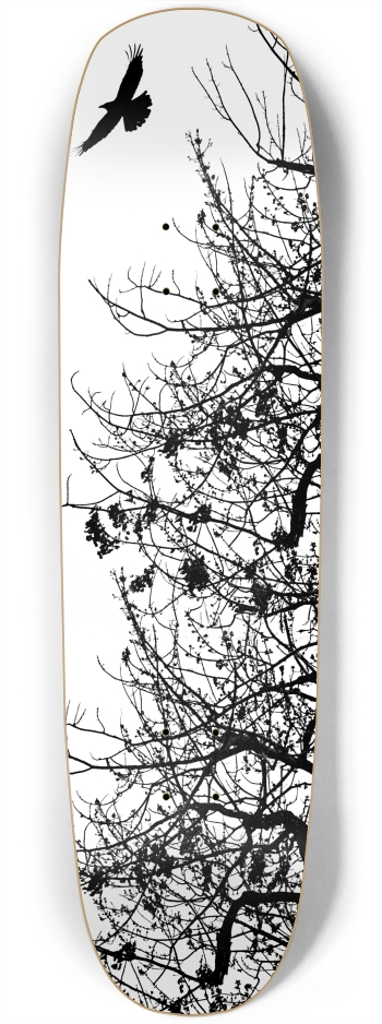 Tree Square Nose