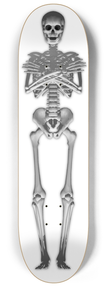 Full Length Skeleton 8-1/4 Skateboard Deck