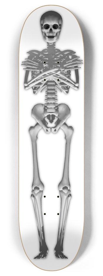 Full Length Skeleton 8 Inch Skateboard Deck