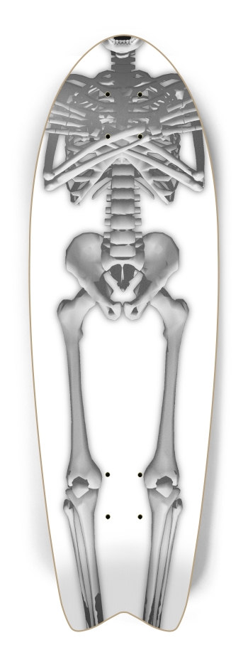 Full Length Skeleton