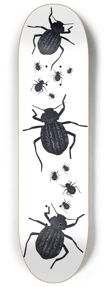 Beetle 8-1/4 Skateboard Deck