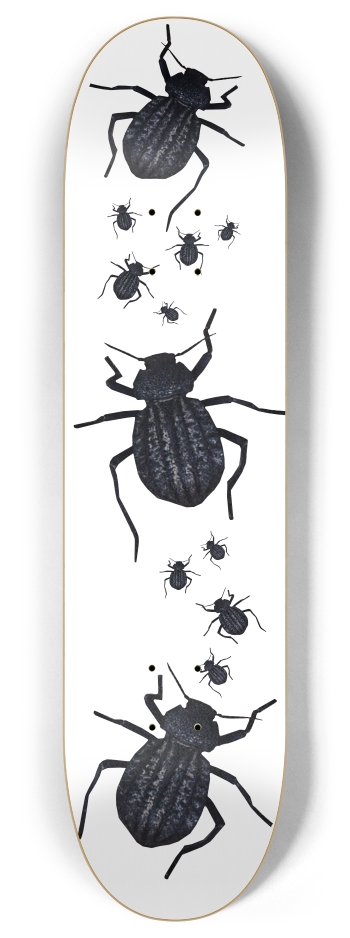 Beetle 8 Inch Skateboard Deck