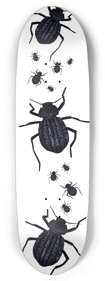 Beetle