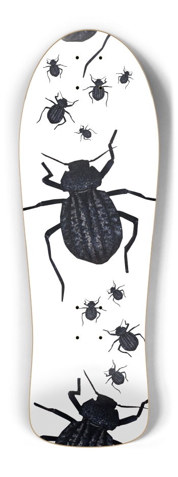Beetle