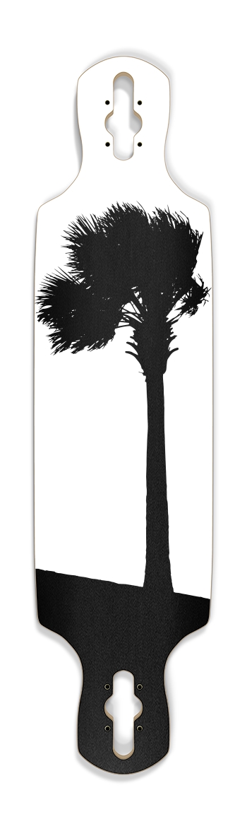Palm Tree