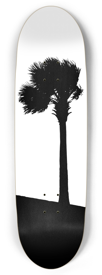 Palm Tree
