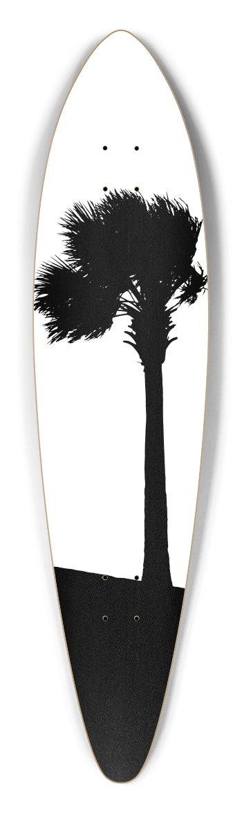 Palm Tree
