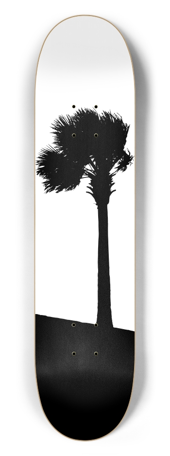 Palm Tree