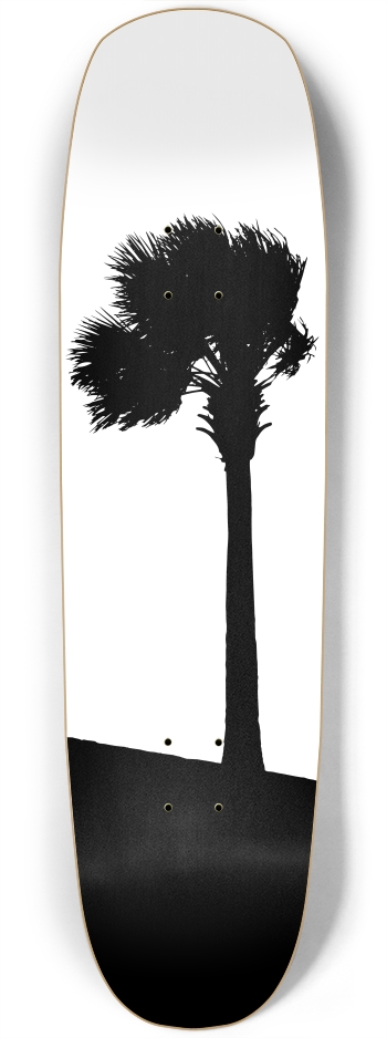 Palm Tree Square Nose