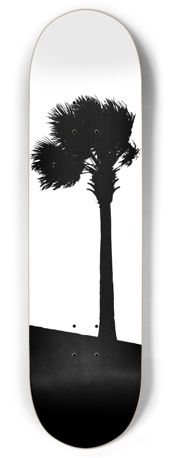 Palm Tree
