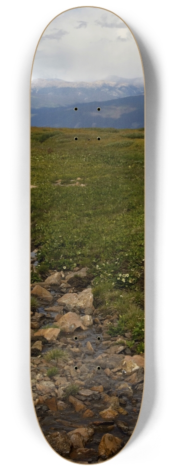 Summer Mountains 8-1/4 Skateboard Deck
