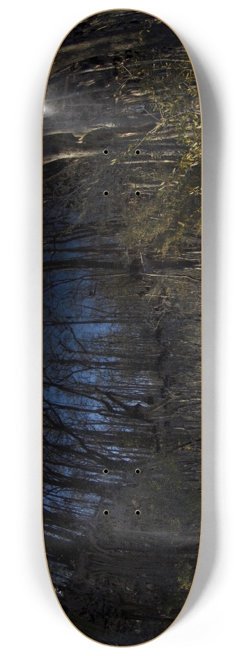Swamp Trees 8-1/4 Skateboard Deck