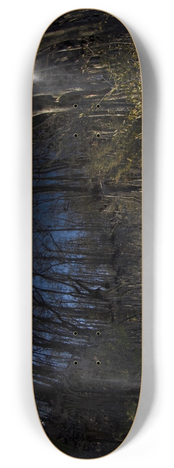 Swamp Trees 8 Inch Skateboard Deck