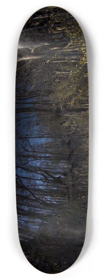 Swamp Trees
