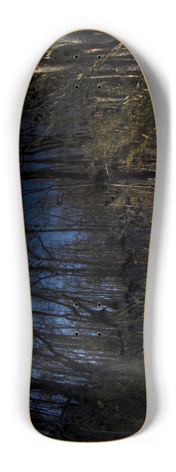 Swamp Trees