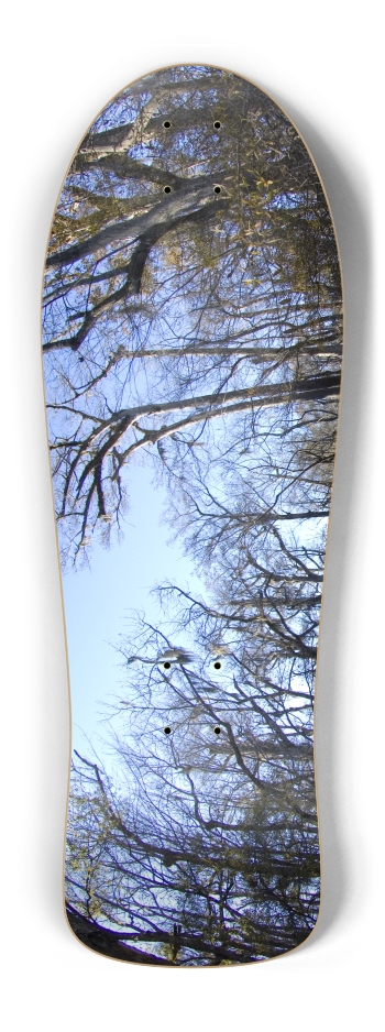 Trees 2
