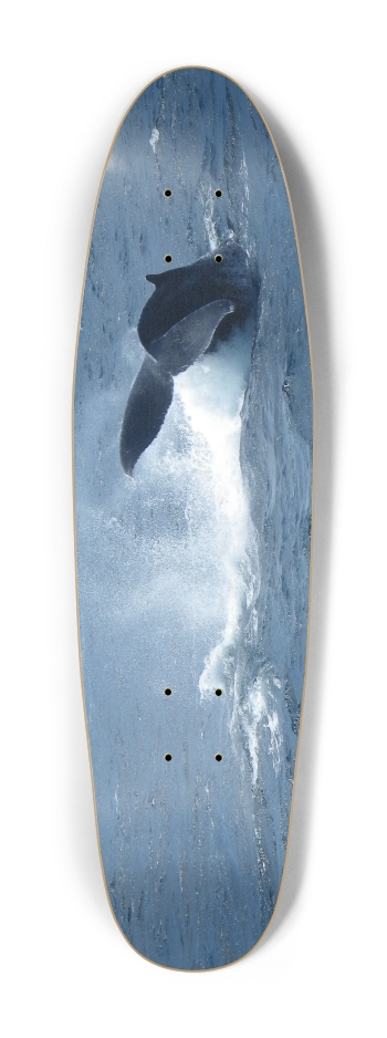 Whale Tail
