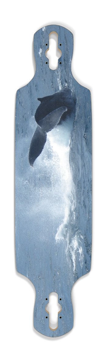 Whale Tail