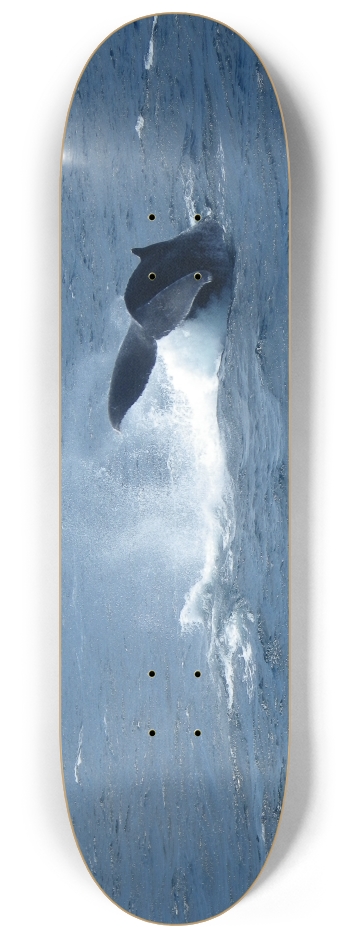 Whale Tail 8-1/4 Skateboard Deck