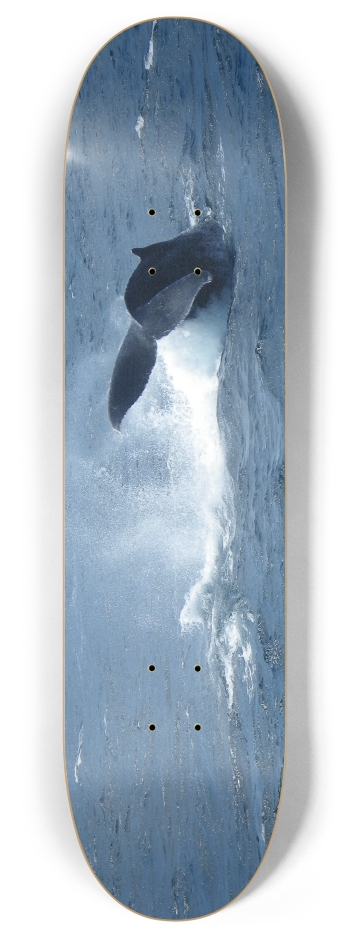 Whale Tail 8 Inch Skateboard Deck