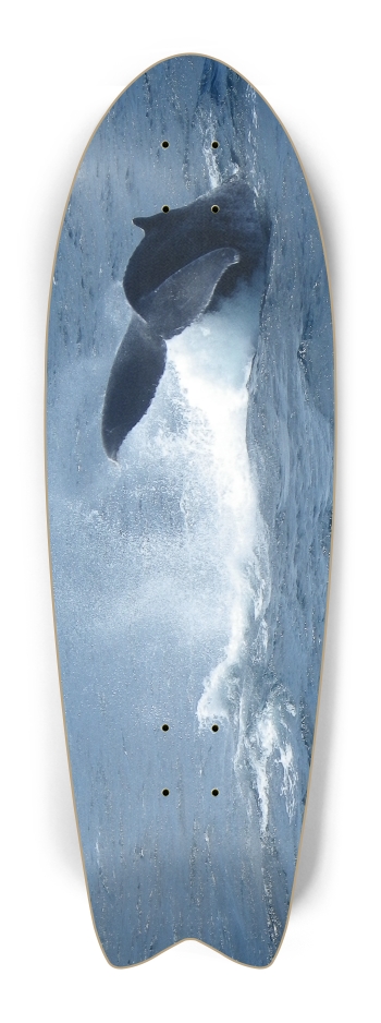 Whale Tail